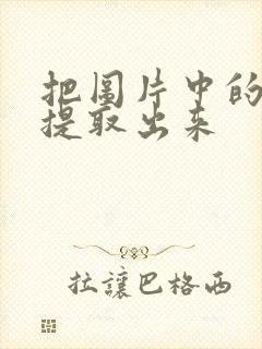 把图片中的表格提取出来