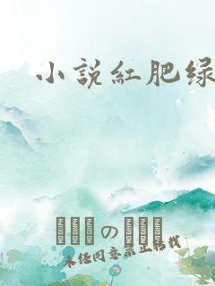 小说红肥绿瘦