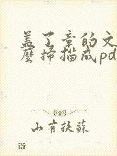 盖了章的文件怎么扫描成pdf