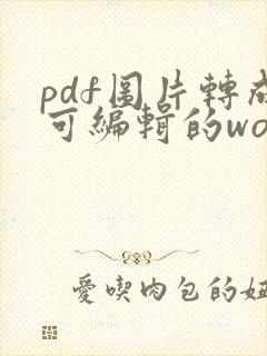 pdf图片转成可编辑的word