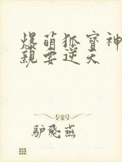 爆萌狐宝神医娘亲要逆天