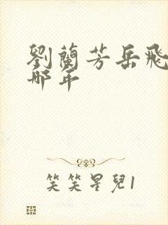 刘兰芳岳飞传是哪年