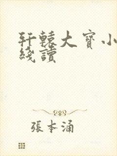 轩辕大宝小说在线读