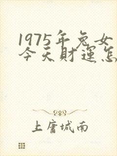 1975年兔女今天财运怎么样