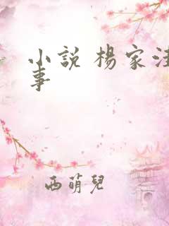小说 杨家洼情事
