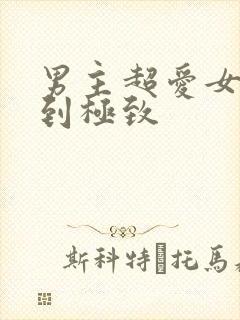 男主超爱女主爱到极致