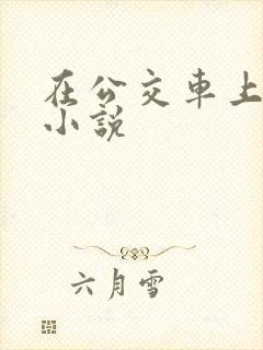 在公交车上被强小说