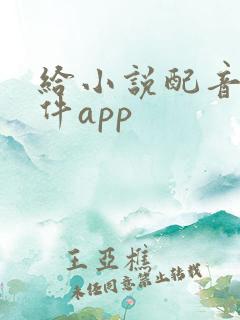 给小说配音的软件app