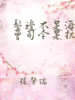 鬓边不是海棠红曹司令是抗日的吗
