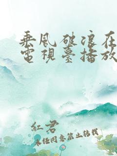 乘风破浪在哪个电视台播放