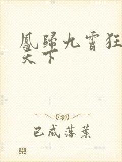 凤归九霄狂妃逆天下