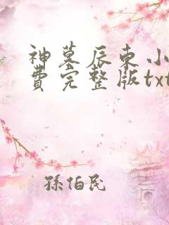 神墓辰东小说免费完整版txt