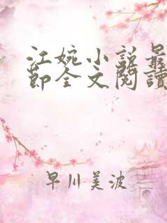 江婉小说最新章节全文阅读