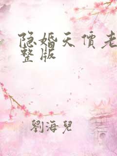 隐婚天价老公完整版
