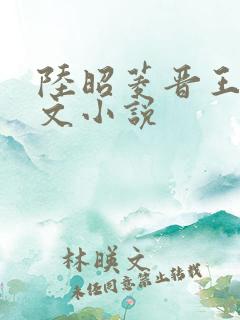 陆昭菱晋王的全文小说
