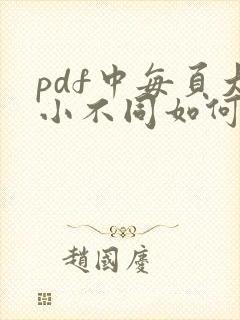 pdf中每页大小不同如何调整