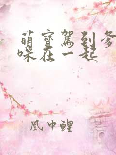 萌宝驾到爹地妈咪在一起