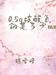 0.5g碳酸氢钠是多少mmol