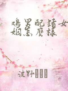 鸡男配猪女的婚姻怎么样
