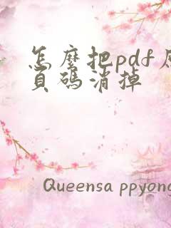怎么把pdf原页码消掉