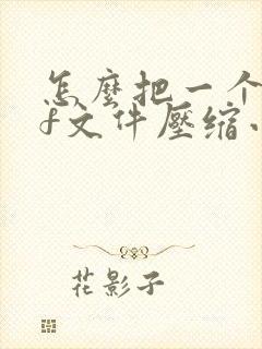 怎么把一个pdf文件压缩小一点