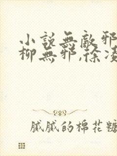 小说无敌邪神,柳无邪,徐凌雪