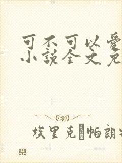可不可以爱上我小说全文免费阅读