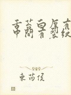 舌苔白厚有齿痕中间有裂纹