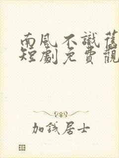 南风不识旧时人短剧免费观看全集