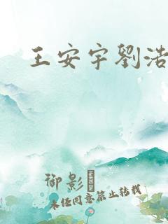 王安宇刘浩存