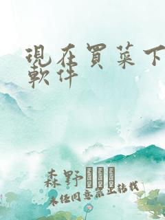 现在买菜下什么软件