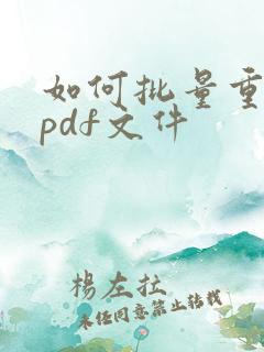 如何批量重命名pdf文件