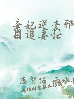 弃妃逆袭邪王日日追妻忙