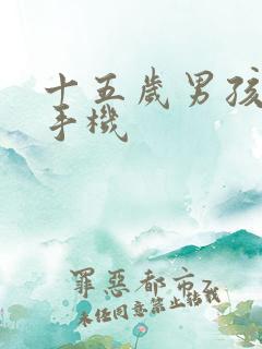 十五岁男孩沉迷手机