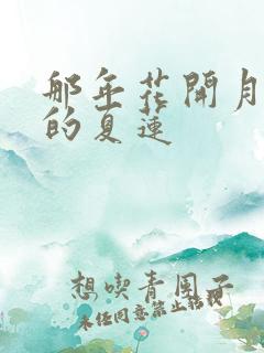 那年花开月正圆的夏莲