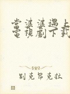 当婆婆遇上的妈电视剧下载