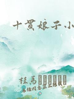 十贯娘子小说