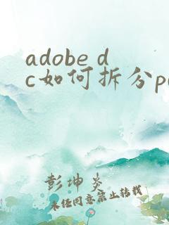 adobe dc如何拆分pdf
