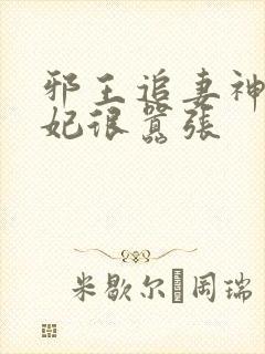 邪王追妻神医狂妃很嚣张
