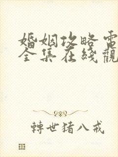 婚姻攻略电视剧全集在线观看