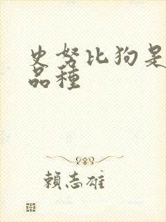 史努比狗是什么品种