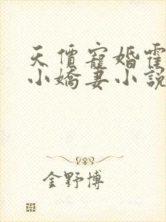 天价宠婚霍总的小娇妻小说免费阅读