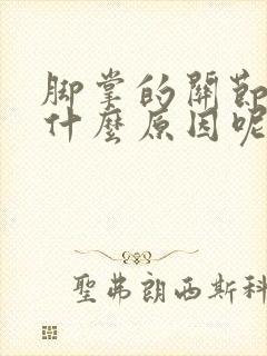 脚掌的关节疼是什么原因呢