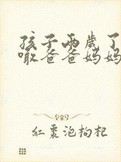 孩子两岁了只会喊爸爸妈妈怎么办