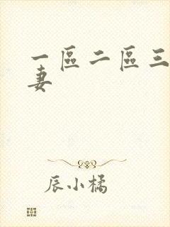 一区二区三 人妻