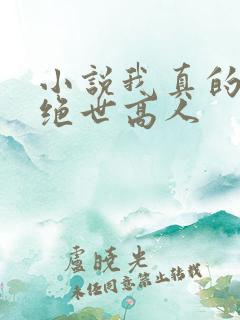 小说我真的不是绝世高人