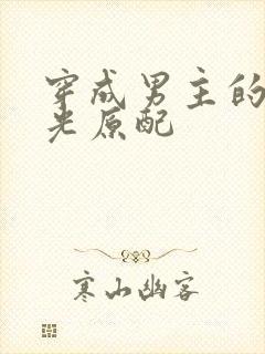 穿成男主的白月光原配