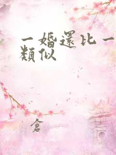 一婚还比一婚高类似