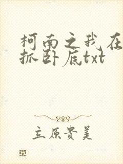 柯南之我在酒厂抓卧底txt