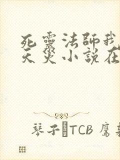 死灵法师我即是天灾小说在哪里看